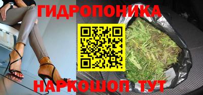 PSILOCYBIN Кингисепп