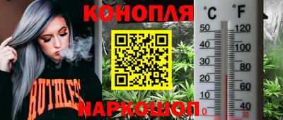 PSILOCYBIN Кингисепп