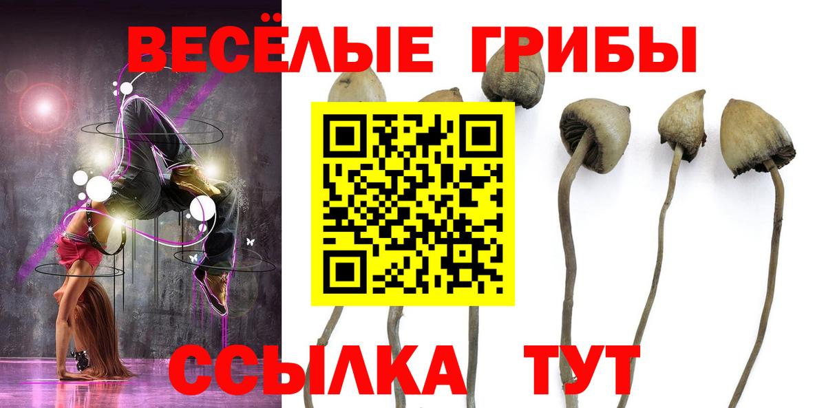 Галлюциногенные грибы мухоморы  Псилоцибиновые грибы Magic Shrooms  Крымск  Вход с VPN 