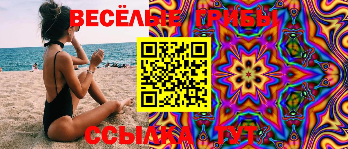 Галлюциногенные грибы Psilocybine cubensis Крымск
